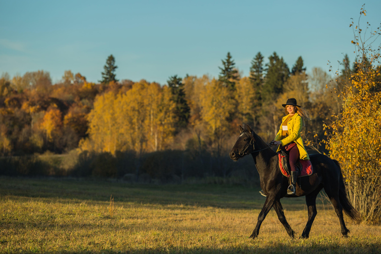 Loire Valley: Full Day Horse Ride, Grand Canal & Castle View