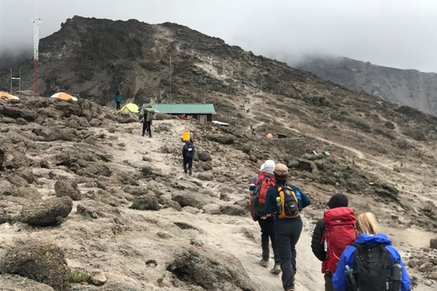 6 dias de escalada do Kilimanjaro Rota Machame