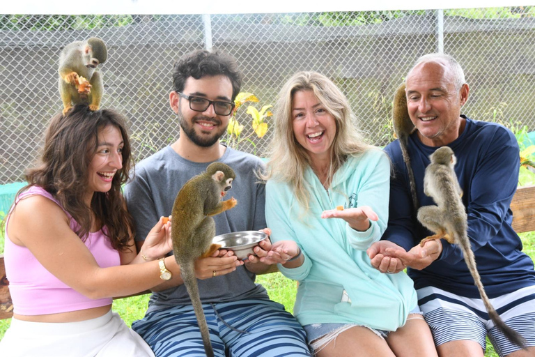 Puerto Plata: Monkey home, Damajagua Waterfalls & City Tour