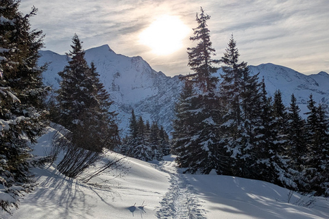 Chamonix: Guided Snowshoeing Tour with Equipment (4 people)