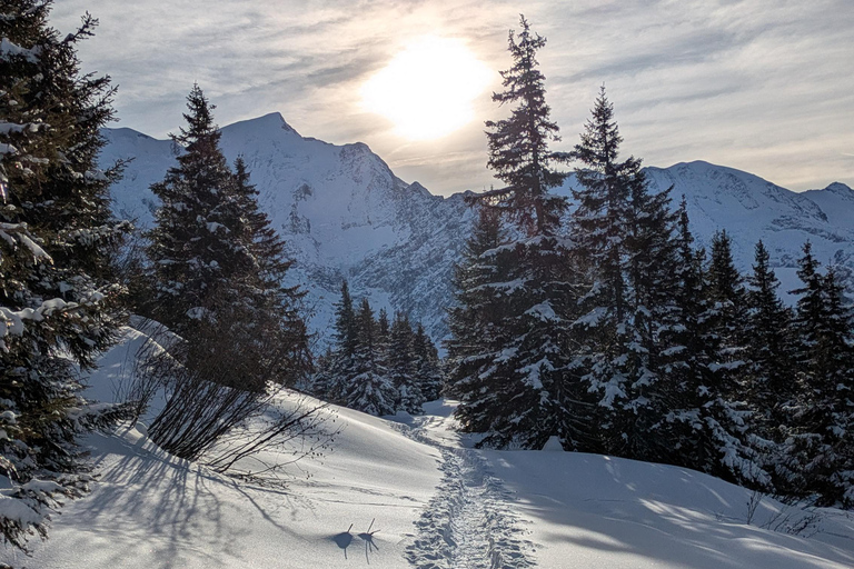 Chamonix: Guided Snowshoeing Tour with Equipment (4 people)