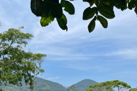 From Paraty to Ubatuba: Forest Trip with a Biologist