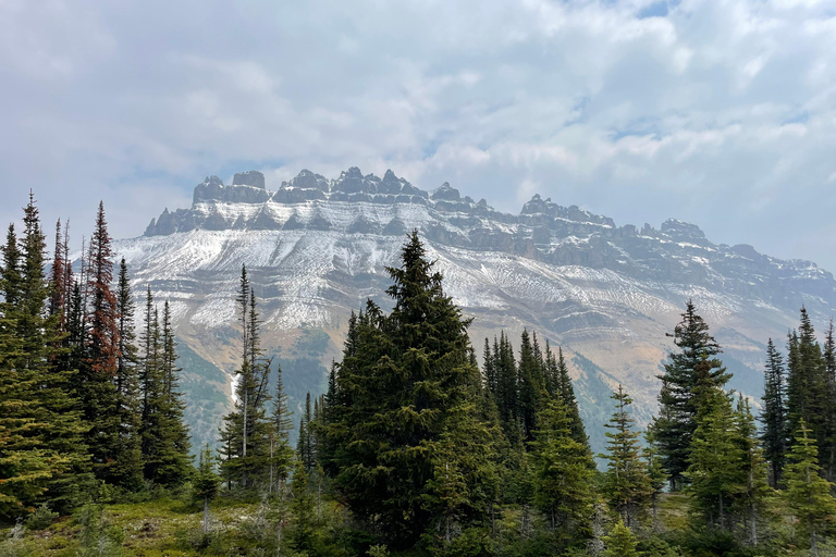 Från Calgary: Banff, Moraine Lake och Lake Louise TourUpphämtning i Calgary