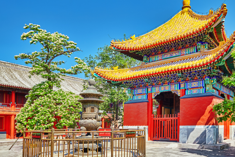 Peking: Ticket für den Lama-Tempel und textlicher und visueller Guide