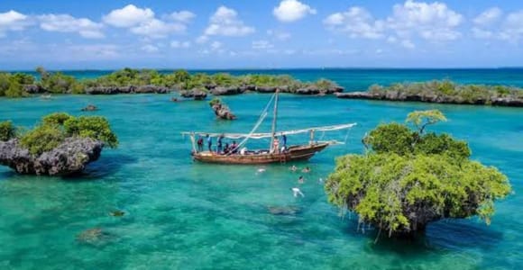From Nungwi/Kendwa: Safari Blue Trip with Lunch & Sandbank