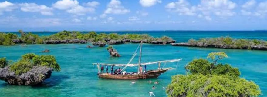 Depuis Nungwi/Kendwa : Safari Blue Trip avec déjeuner et banc de sable