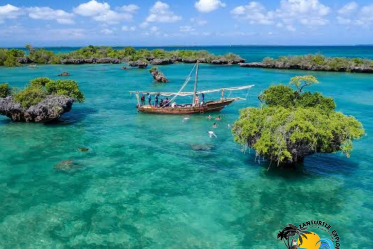 From Nungwi/Kendwa: Safari Blue Trip with Lunch & Sandbank