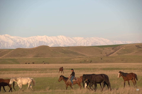 Réserve naturelle de Vashlovani : Randonnée à cheval