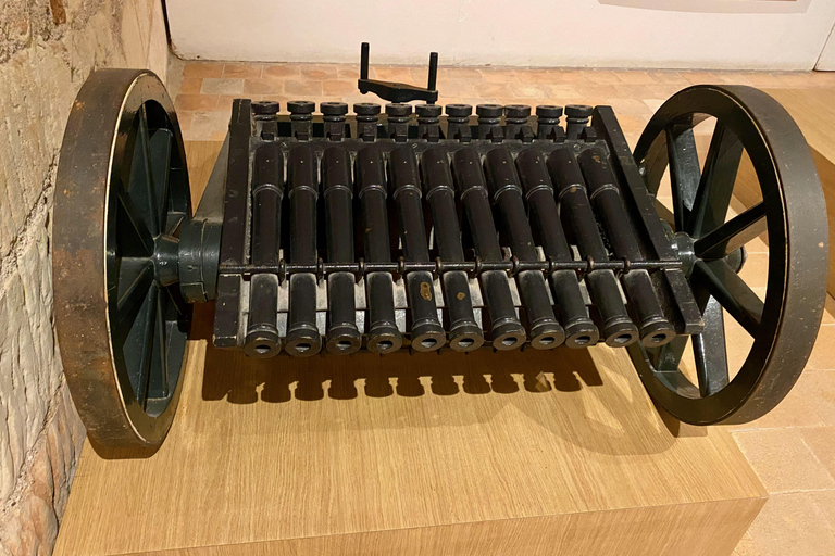 Private 3 Loire Castles Live Guided trip from Paris Private Live Guided Trip