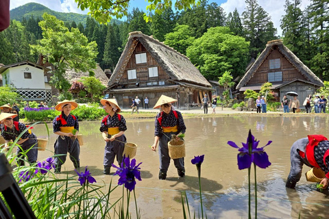 Nagoya: Takayama &amp; Shirakawa-go Day Trip w/ Hida Pork LunchNagoya: escursione di un giorno a Takayama e Shirakawa-go con pranzo a base di maiale di Hida