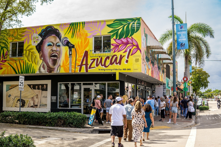 Miami: Top Neighborhoods & Highlights Guided Tour in Spanish