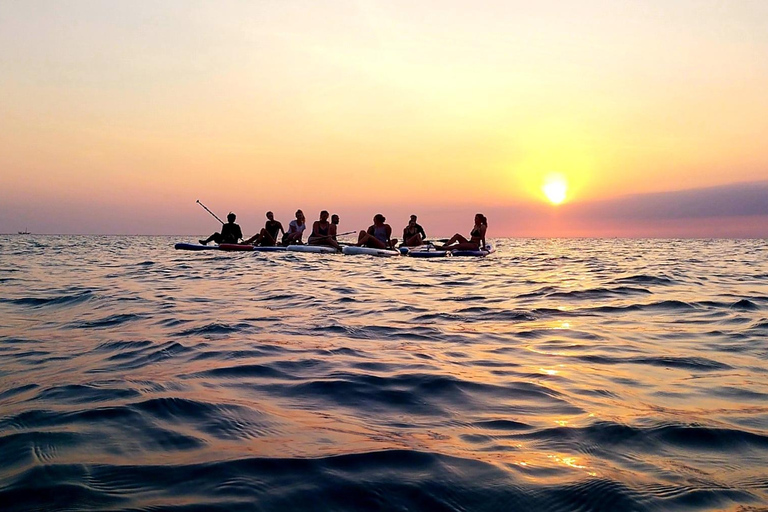 Zanzibar: Unik guidad mangrovetur med SUP eller kajak