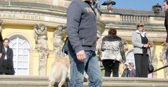 Private Sightseeingtour im Taxi nach Potsdam und Sanssouci