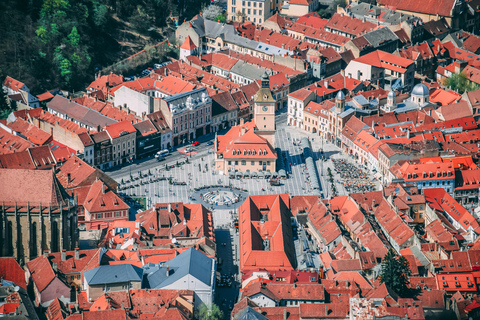 From Bucharest: Cantacuzino Castle, Bears & Brasov Tour