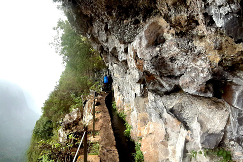 Madère : Jungle Fever Levada Caldeirao Verde Hike SantanaFunchal : prise en charge par le téléphérique du centre