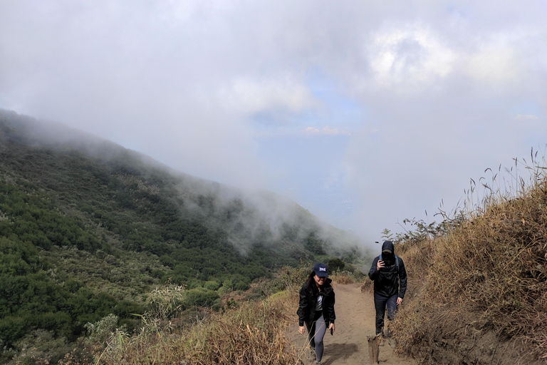 Yogyakarta: Mount Merbabu Guided Hike with Transfers Mount Merbabu Guided Camping Hike (All Inclusive)