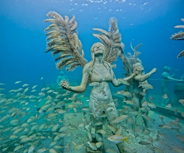 Sint Maarten: Avventura snorkeling nel Parco delle Sculture Sottomarine
