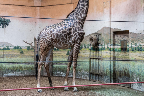 Toronto: Toronto Zoo Entry Ticket