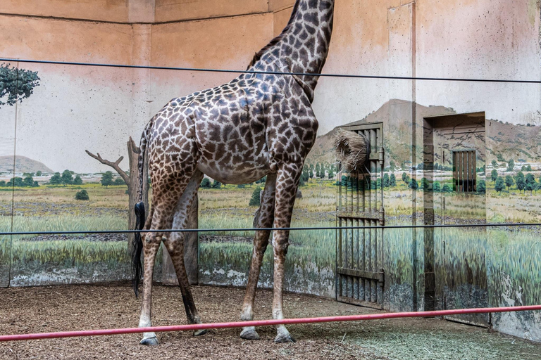 Toronto: Toronto Zoo Entry Ticket