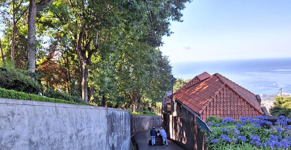 Funchal: Private Cable Car, Toboggan, and Skywalk Tour