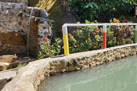 Roseau: Titou Gorge, Hot Spring, Falls & Champagne Reef Tour