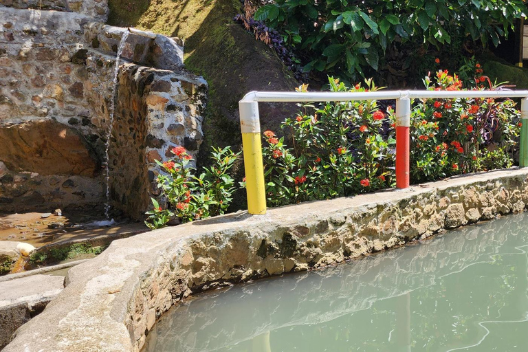 Roseau: Titou Gorge, Hot Spring, Falls & Champagne Reef Tour