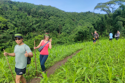 Chiang Rai: Jungle Adventure-Group Trekking & Bamboo Cooking