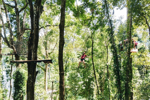 Khao Lak : excursion combinée « Éléphants éthiques et tyrolienne »