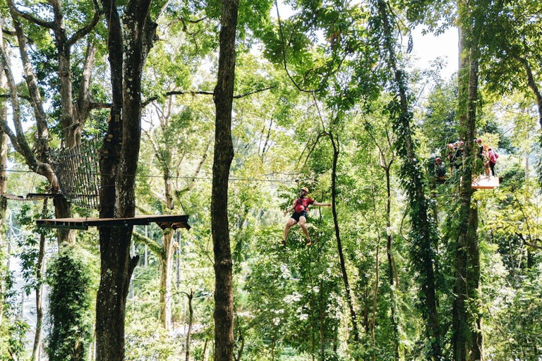 Khao Lak : excursion combinée « Éléphants éthiques et tyrolienne »