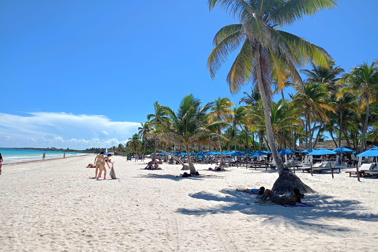 Playa del Carmen Tulum, Playa Paraiso, and 5th Avenue Tour