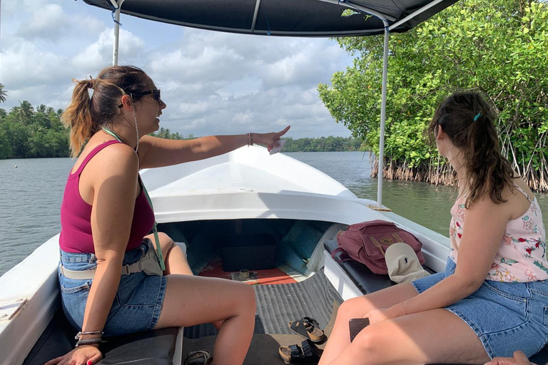 Galle: Koggala River Boat Safari with Monkeys Birds & Nature