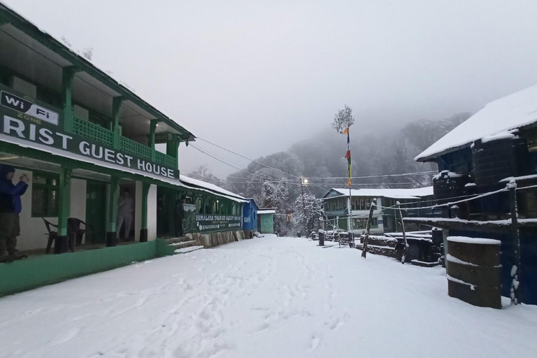 Katmandu: 6 dias de trekking no Annapurna