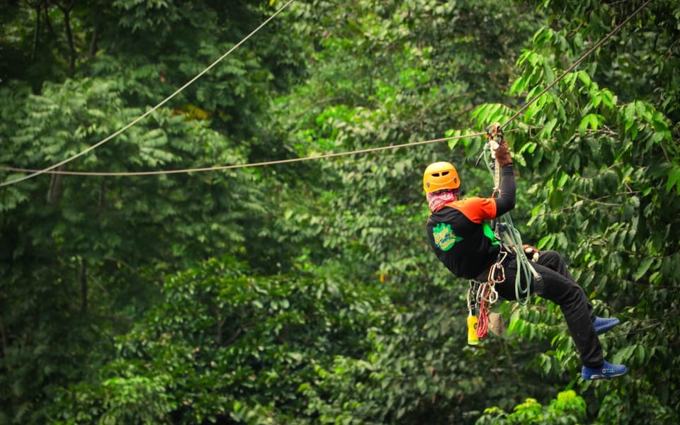 Chiang Mai Pongyang Jungle Coaster And Zipline Getyourguide 3852