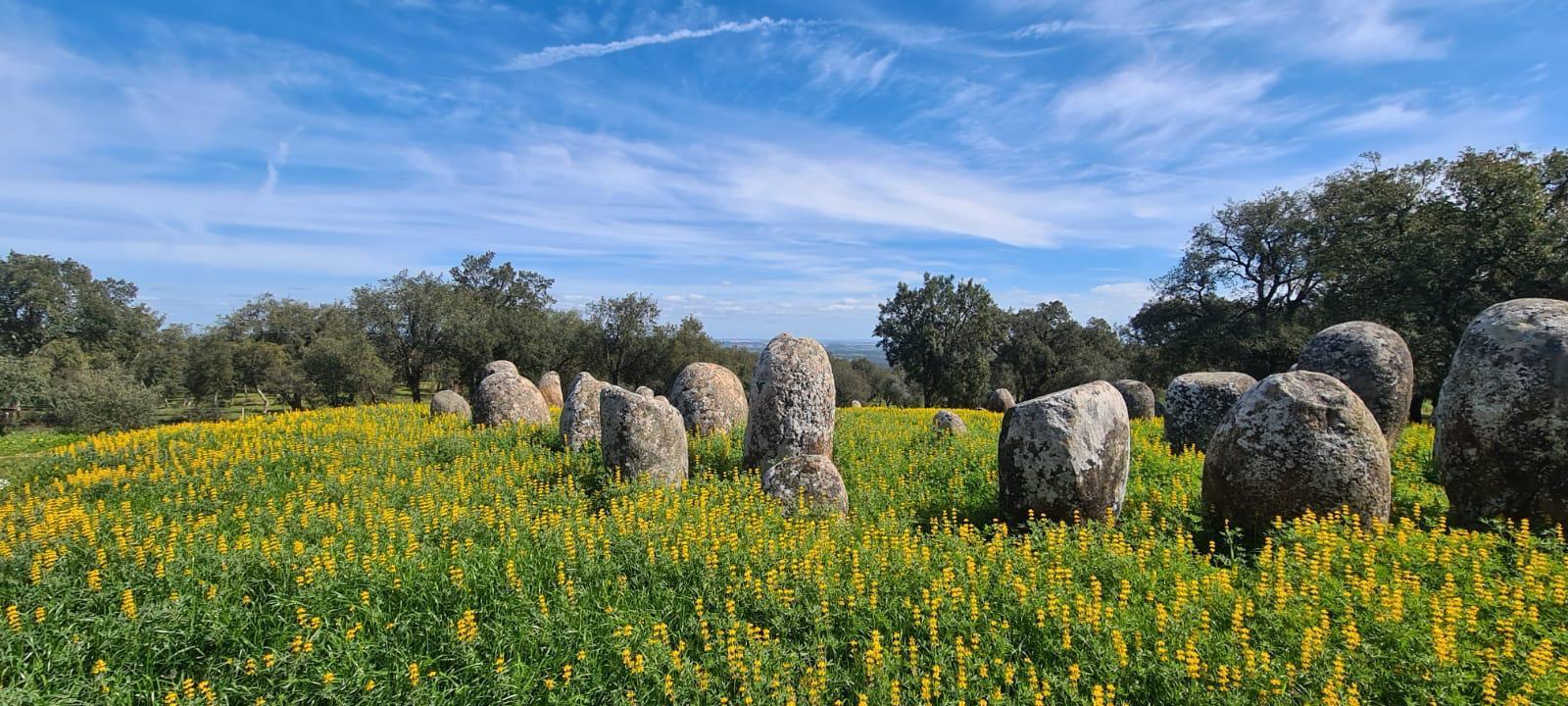Montemor-o-Novo oder Évora: Ein-Tages-Tour zu den Megalithen