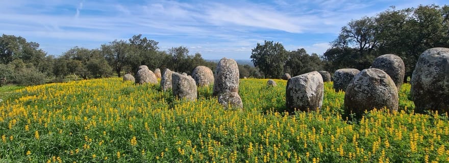Montemor-o-Novo ou Évora : Excursion d'une journée à la découverte des mégalithes