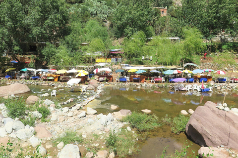 Marrakech : Private To Ourika Valley Atlas Mountains & Lunch Private Day Trip To Ourika Valley, Waterfalls With Lunch