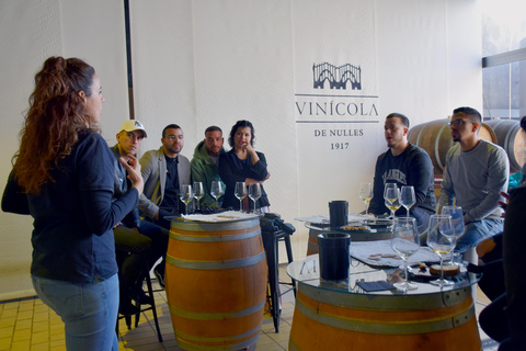 Tarragona: Wine Cathedral Tour Wine, Cava and Food Tasting