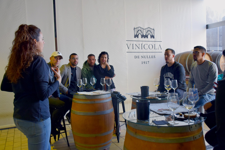 Tarragona: Wine Cathedral Tour Wine, Cava and Food Tasting