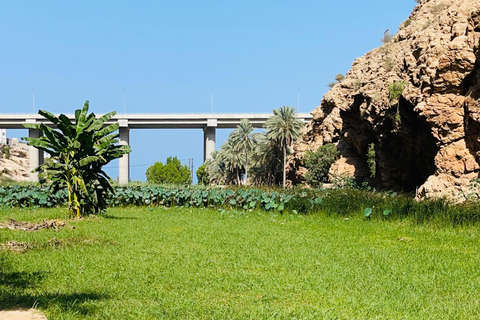 Muscat: Wadi Shab dagsutflykt med upphämtning från hotell