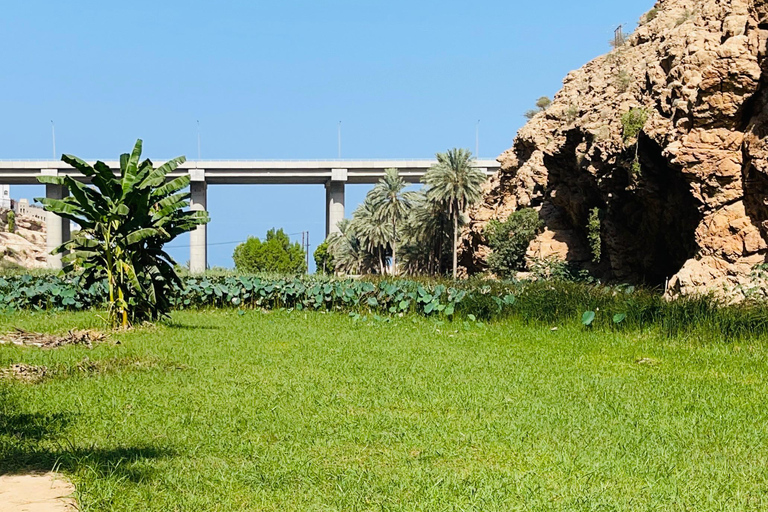 Muscat: Wadi Shab dagvullende tour met ophaalservice vanaf je hotel