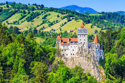 Da Bucarest: Escursione al castello di DraculaDa Bucarest: Escursione al castello di Dracula in lingua inglese