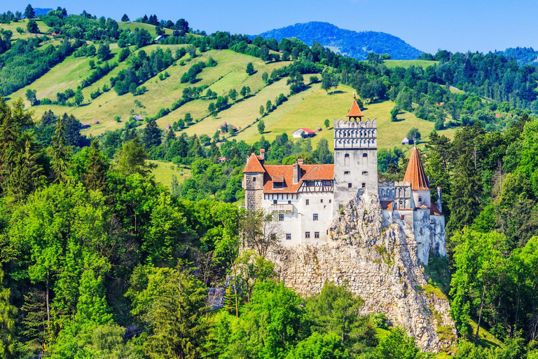 From Bucharest: Dracula's castle day trip From Bucharest: Dracula's castle day trip-english