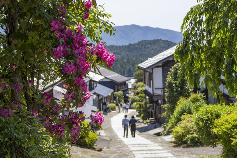 1-Tages-Tour ab Nagoya: Wandern auf dem historischen Nakasendo-Pfad