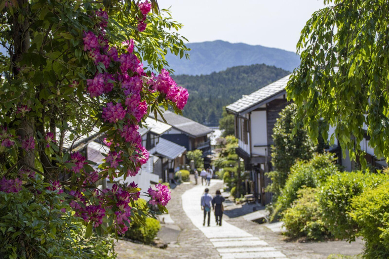 1-Tages-Tour ab Nagoya: Wandern auf dem historischen Nakasendo-Pfad