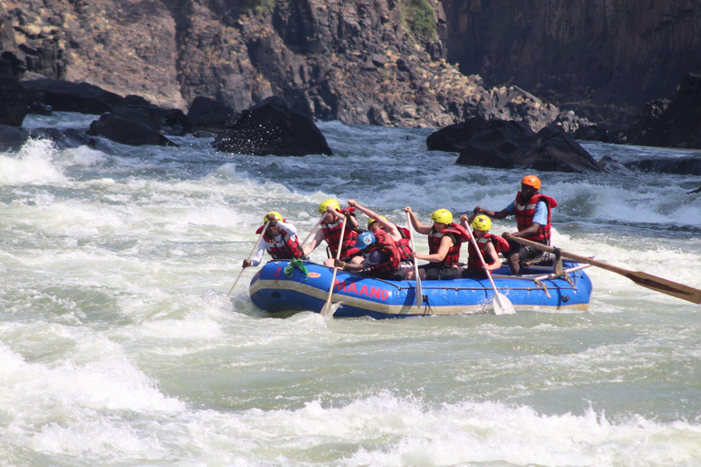 Río Zambezi: experiencia de rafting de 3 días