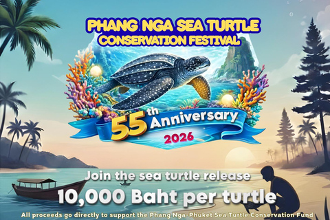 Khao Lak: Turtle Festival at Thai Muang, Mangroves & Temple