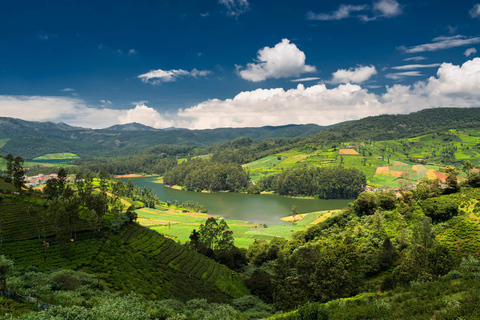 From Bangalore: 7 Days Coorg & Hassan Heritage Private Tour