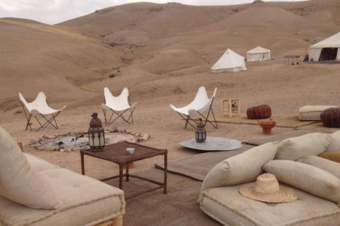 Doha: Wüstentour mit Kamelreiten, Sandboarding &amp; EssenDoha: geführte Wüstentour mit Kamelreiten, Sandboarding &amp; Essen