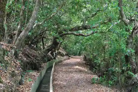 Ribeiro Frio-Portela-Levada do Furado