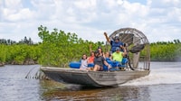 Everglades, Mangrove Maze Airboat Tour y Boardwalk - Housity